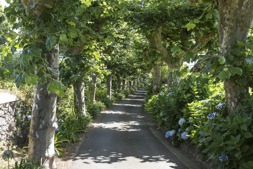 Santo António Casas Do Monteヴィラ エクステリア 写真